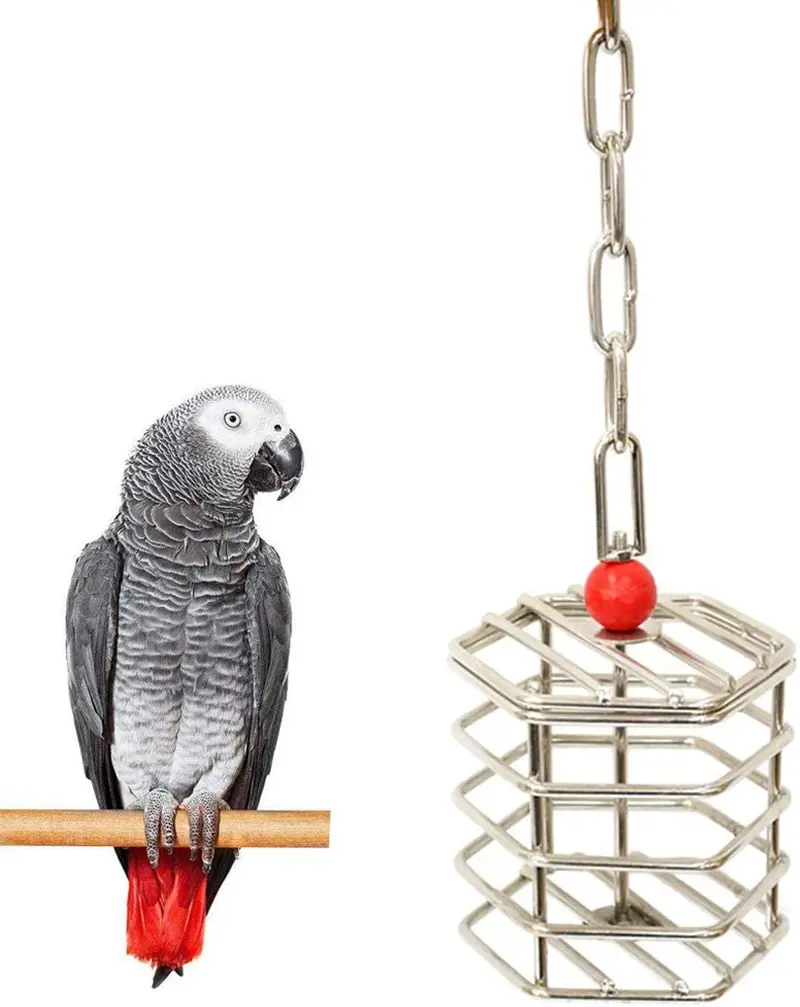 Wontee - Comedero para pájaros de acero inoxidable con forma de loro, juguete para pájaros con bloques para pájaros, loros, macaw y Cockatoo