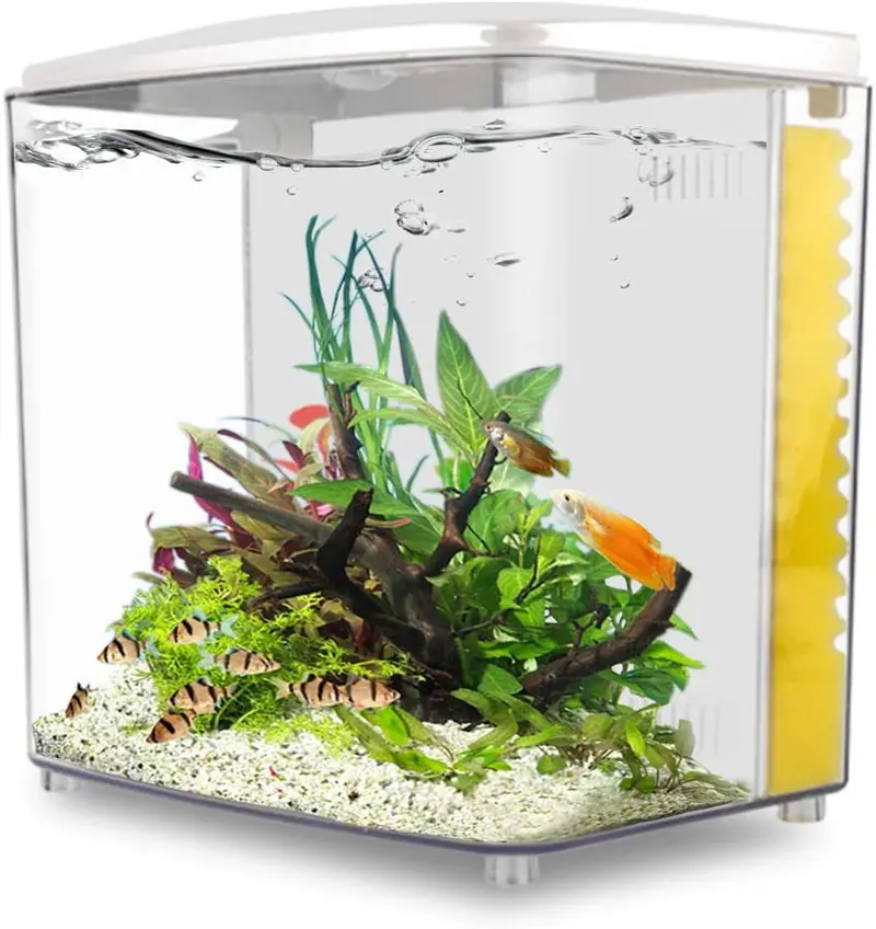 YCTECH kit de iniciación de acuario de 1,4 galones Betta Fish Tank Goldfish Tank con luz LED y bomba de filtro blanco y negro
