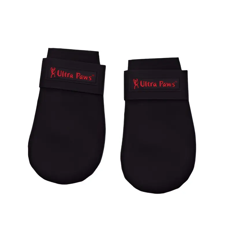 Zapatos Negros para Perro-Md