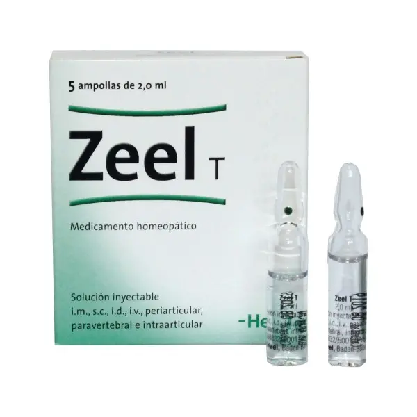 Zeel x Ampolla