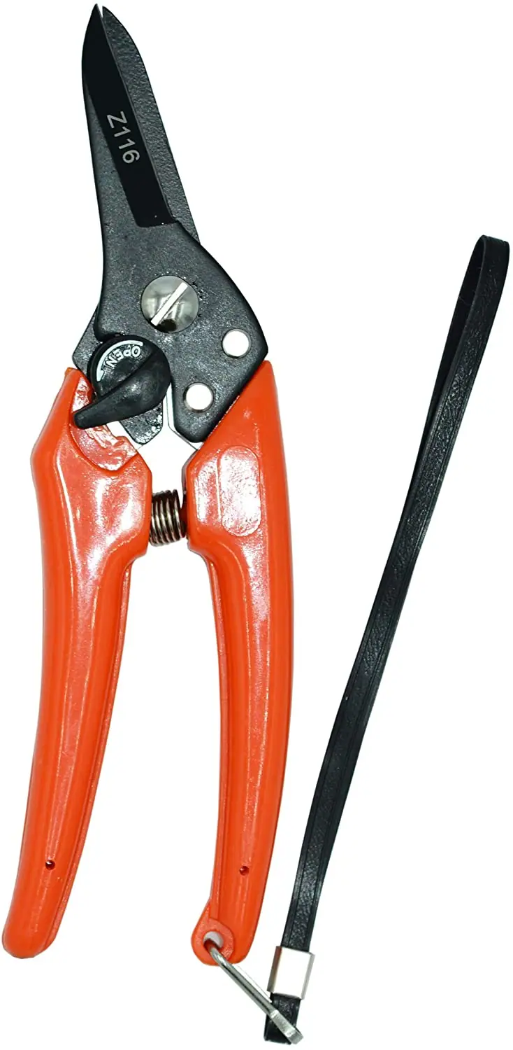 Zenport Z116 - Tijeras para recortar con diseño floral (10 pulgadas), 1