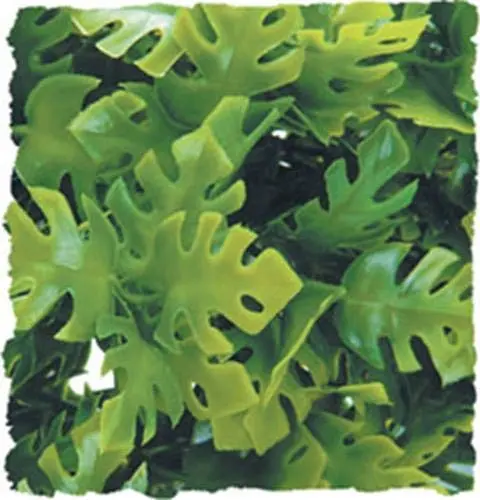 Zoo Med Naturalista Bush Planta Amazon Phyllo, grande