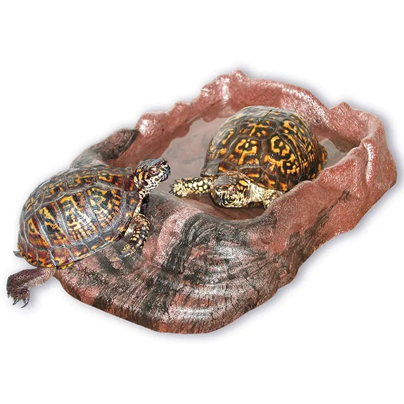 Zoomed '+ Bebedero Reptiles con rampa