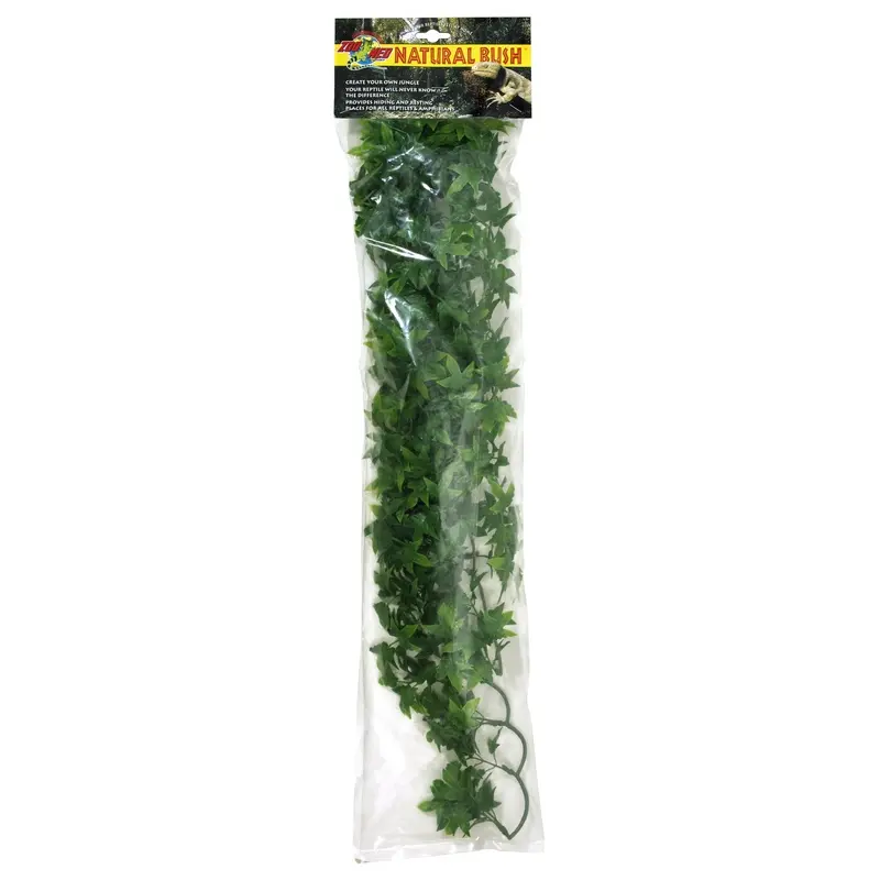 Zoomed Congo Ivy