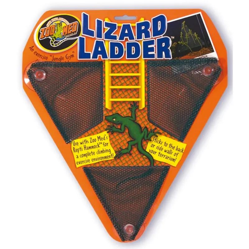 Zoomed Escalera Lagarto
