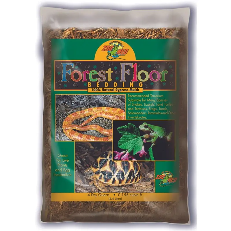 Zoomed Forest Floor