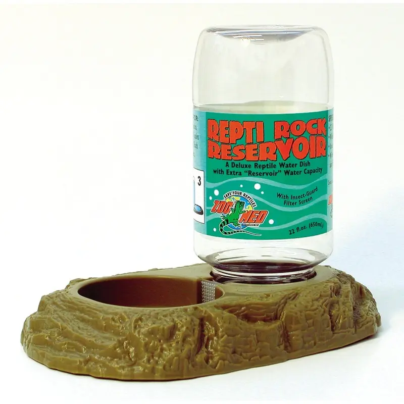 Zoomed Reptil